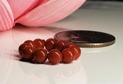 Tools4transformation Coral - Red (Italian) Gem Healing Ring