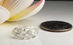 Tools4transformation Topaz - Clear / White Gem Healing Ring