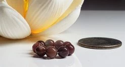 Tools4transformation Andesine Gem Healing Ring Gem Healing Rings