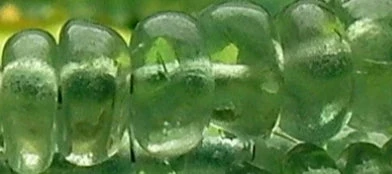 Tools4transformation Alexandrite Essence Therapeutic Liquid Gems