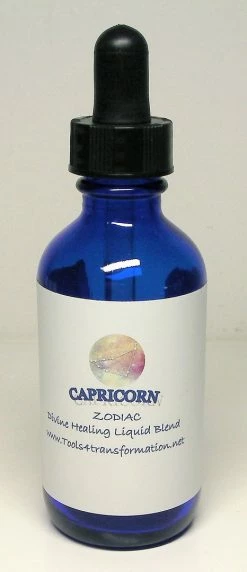 Tools4transformation Capricorn Vibrational Essence Zodiac Sun Signs