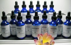 Tools4transformation Elohim Cyclopia Essence Elohims