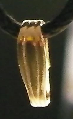 Tools4transformation 14kt Gold Locket Bail Pendants