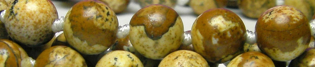 Tools4transformation Jasper - Picture Essence