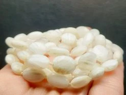 Tools4transformation Scolecite EO++ Oval 26.5inch 146.55ct