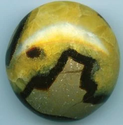 Tools4transformation Septaria Essence Therapeutic Liquid Gems