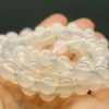 Tools4transformation Agate - White (Translucent) EO++ 8+mm 24.5inch